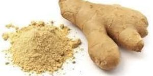 Ginger Powder