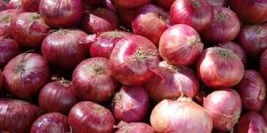 Red Onion
