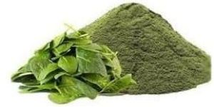 Spinach Powder