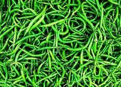 Fresh Green Chilies