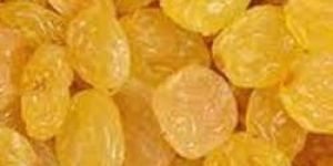 Golden Raisins