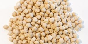 Chick Peas