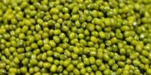Green Moong Dal