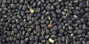Black Urad Dal