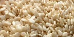Sesame Seeds