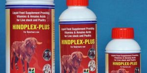 Hindplex Plus Feed Supplements