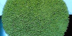 Cotton Round Shape Bath Mat