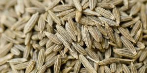 Cumin Seeds