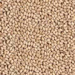 Natural Sesame Seeds