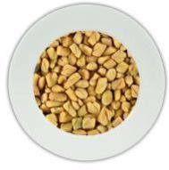 Fenugreek