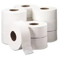 Toilet Paper Rolls