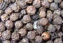 Black Pepper Seeds