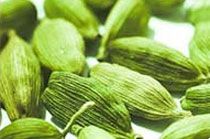 Green Cardamom