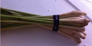 Lemon Grass
