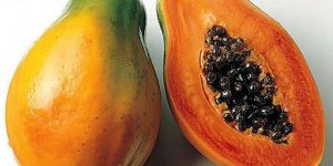 Fresh Papaya