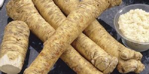 Horseradish