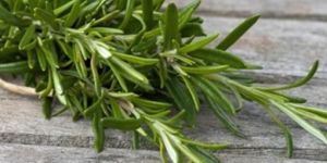 Rosemary