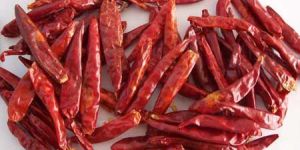 Dry Red Chilli