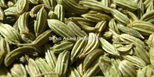 Fennel Seeds