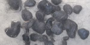 Comb Human Hair Ball