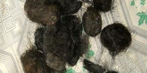 Hair Balls