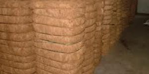 Coconut Coir Fiber