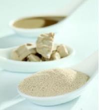 Bakery Yeast