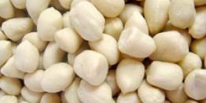 Blanched Peanuts Kernels
