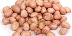 Raw Peanuts