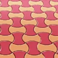 Interlocking Paver Block