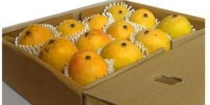 Koraam Rajwaadi Kesar Mango