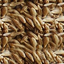 Cumin Seeds