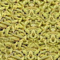 Fennel Seeds