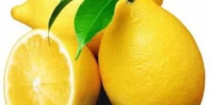 Fresh Lemon