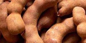 Tamarind Pods