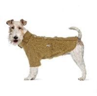 Dog Coats