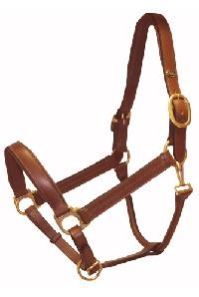 Leather Head Collar