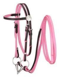 Leather Horse Bridle