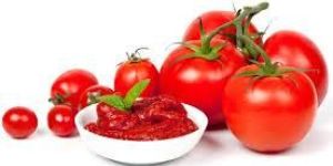 Tomato Paste