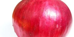 Red Onion