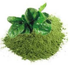 Dehydrated Spinach Powder