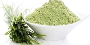 Wheatgrass Powder