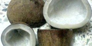 Dry Coconut