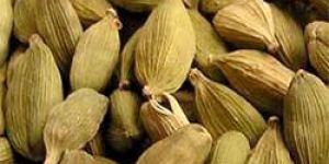 Green Cardamom