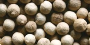 White Pepper