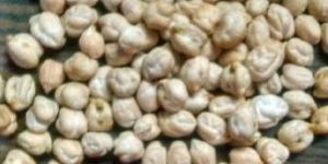 White Chickpeas