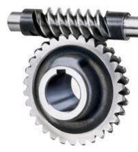 Worm Gears