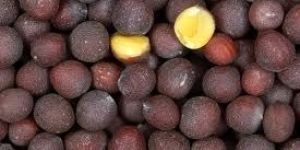 Mustard Seeds