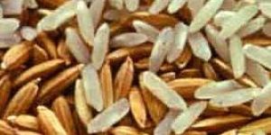 Sugandha Basmati Rice