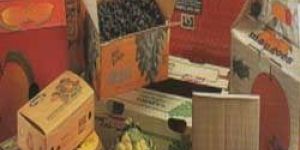 Vegetable Packaging Boxes